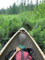 IMG_1550.JPG