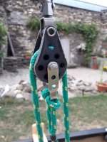 20260804_184150.jpg