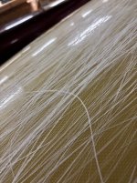 IMG_4140.jpeg