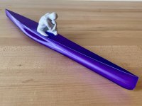 IMG_1977.jpeg