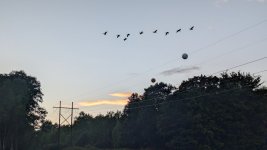 1000006725.jpg 1000006725.jpg