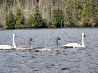 IMG_6455.jpeg