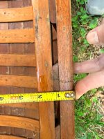 IMG_2063.jpeg