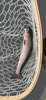 IMG_1878.png IMG_1878.png