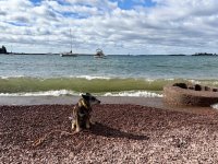 IMG_3077.jpeg