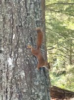 IMG_4630.jpeg