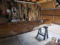 souris first coat.jpg