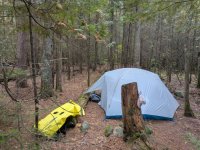 back in them woods camp 3.jpg back in them woods camp 3.jpg