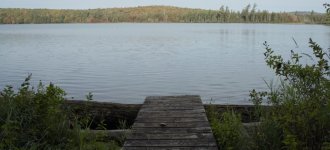 BogLake.jpg BogLake.jpg