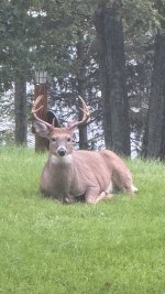 IMG_6047.jpeg