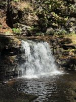 IMG_6116.jpeg