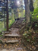 IMG_6179.jpeg