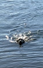 IMG_3360.jpeg IMG_3360.jpeg