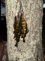 IMG_0119.jpeg