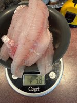 IMG_0120.jpeg