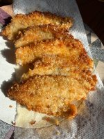 IMG_0135.jpeg IMG_0135.jpeg
