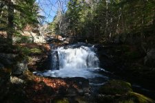 DSC_1390.JPG