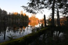 DSC_1367.JPG