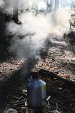 DSC_1378.JPG