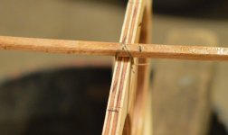 SinewTie.JPG SinewTie.JPG