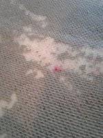20180907_070722.jpg