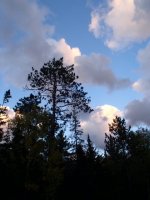 Click image for larger version  Name:	stormy skies.jpg Views:	1 Size:	59.9 KB ID:	73194