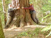 Click image for larger version  Name:	tree huggers .jpg Views:	1 Size:	118.8 KB ID:	74793