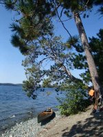 Click image for larger version  Name:	pebble beach .JPG Views:	1 Size:	100.7 KB ID:	74794