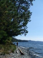 Click image for larger version  Name:	pebble beach 2 .JPG Views:	1 Size:	84.1 KB ID:	74795