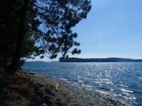Click image for larger version  Name:	pebble beach 3 .jpg Views:	1 Size:	94.9 KB ID:	74796